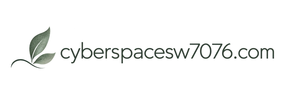 cyberspacesw7076.com